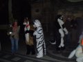 DSCF2779.JPG